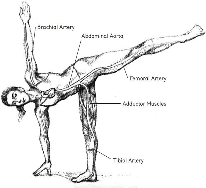 a person doing ardha cha