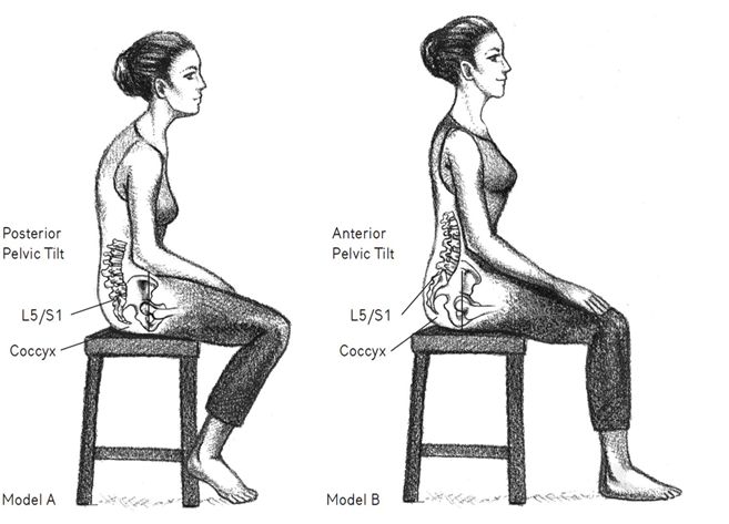 how to sit properly, sitting bones and pelvis connection to posture while sitting