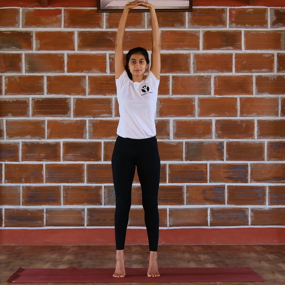 a girl doing Standing Postures. Tadasana (Palm Tree Posture) in her yoga institute class